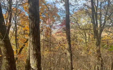 00 Firetower Rd, Jasper, GA 30143 photo 49