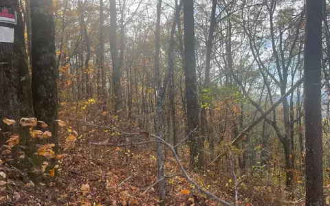 00 Firetower Rd, Jasper, GA 30143 photo 39