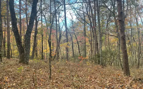 00 Firetower Rd, Jasper, GA 30143 photo 27