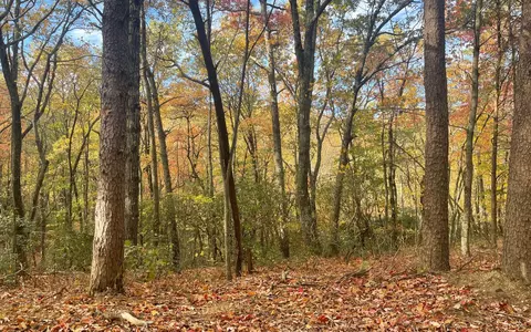 00 Firetower Rd, Jasper, GA 30143 photo 31