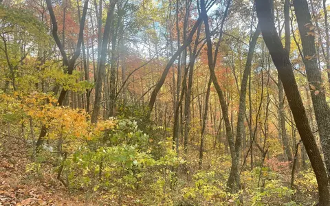 00 Firetower Rd, Jasper, GA 30143 photo 36