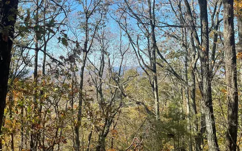 00 Firetower Rd, Jasper, GA 30143 photo 51
