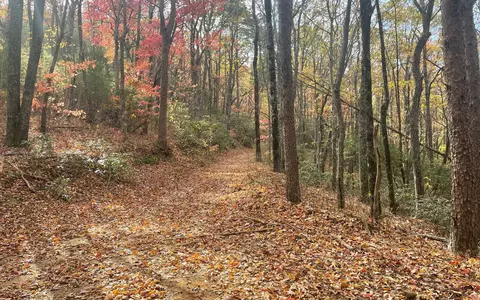 00 Firetower Rd, Jasper, GA 30143 photo 29