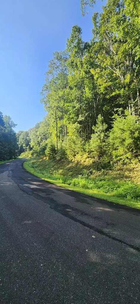 L176 Trailwood Drive, Ellijay, GA 30536