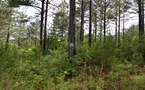 lot50 Pinehurst Rd, Blairsville, GA 30512