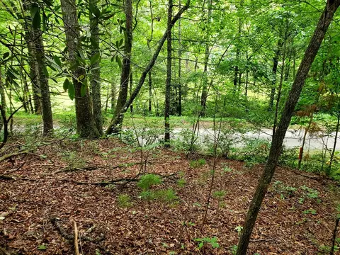 10 E 61 E Charlies Creek Rd, Hiawassee, GA 30546