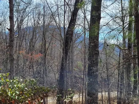 14 Flaming Rdg, Hayesville, NC 28904