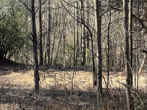 lot59 C Mountain Harbour Lot, Hayesville, NC 28904