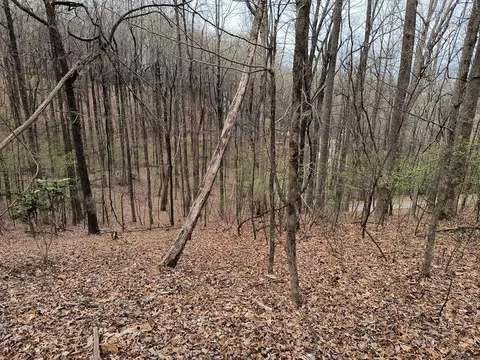 M99 Sleepy Hollow Road, Ellijay, GA 30536