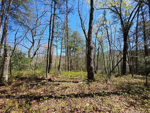 5 2 Deer Crest Rd, Blue Ridge, GA 30513