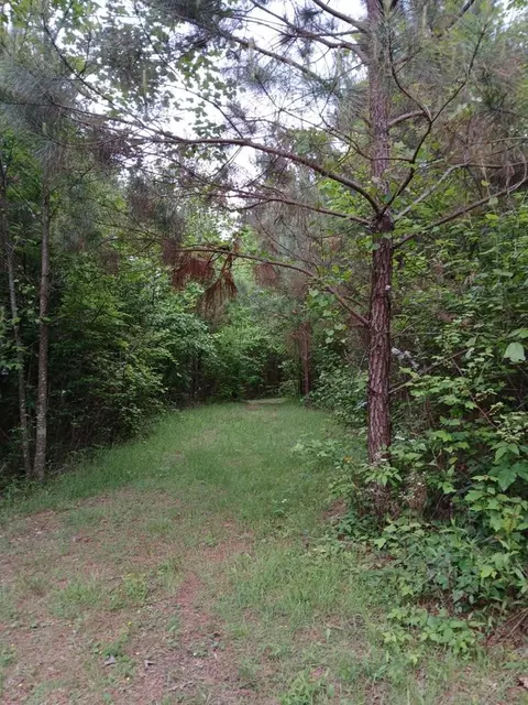 7 52 Ac Hicks Ford Rd, Ellijay, GA 30540