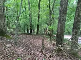 lot1667 Fugue Dr, Ellijay, GA 30540