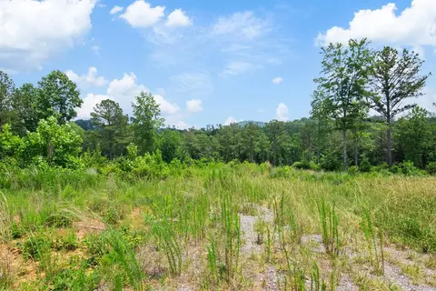 lot196 Oak Park Dr, Talking Rock, GA 30175