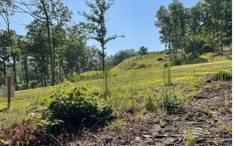 lot119 Highland Park, Blairsville, GA 30512