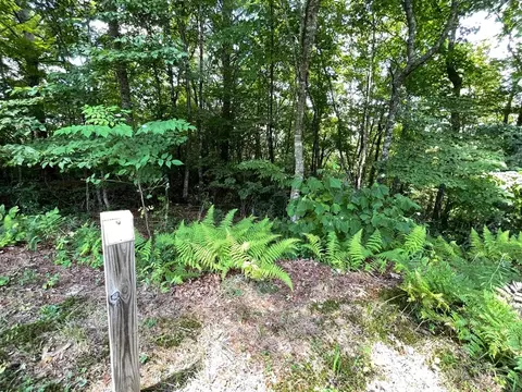 lot37 Fodder Creek Mill Dr, Hiawassee, GA 30546