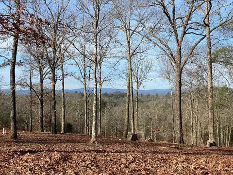 10 Arbor Creek Trl, Mineral Bluff, GA 30559