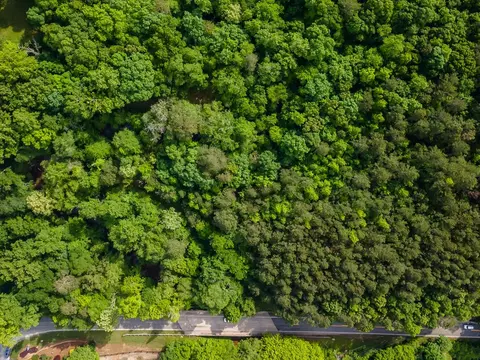 4 5 Ac Hickory Flat Hwy, Woodstock, GA 30188