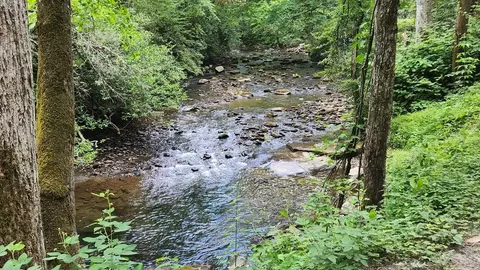 38 Ac Tumbling Creek Rd, Copperhill, TN 37317