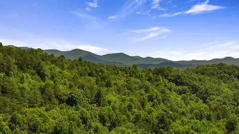 1 Ac Bruce Wike Ln, Brasstown, NC 28902