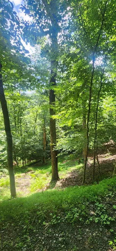 0 Mohawk Trl, Ellijay, GA 30540