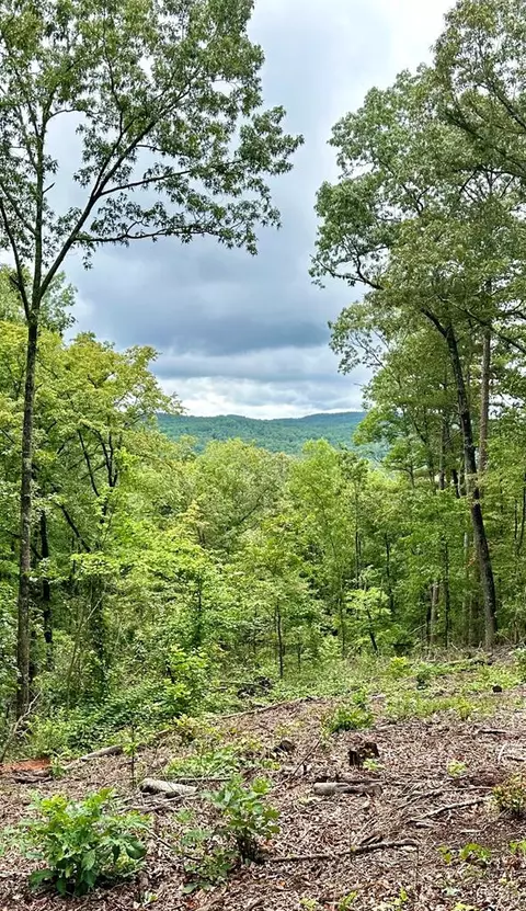 lot314 Pebble Trce, Talking Rock, GA 30175