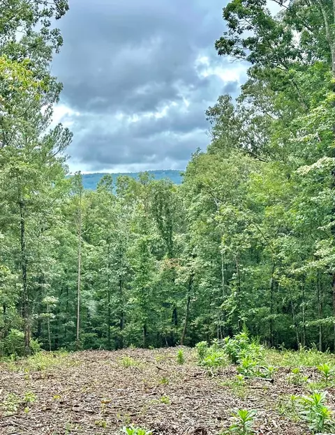 lot315 Pebble Trce, Talking Rock, GA 30175