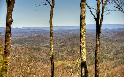 View/Area - 62 Old Covered Brg, Cherry Log, GA 30522 photo 2 of 3