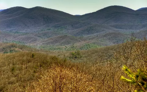 Other - 62 Old Covered Brg, Cherry Log, GA 30522 photo 5 of 9