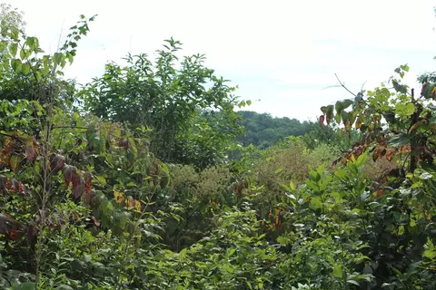 lot26 Trillium Heights Cir, Hayesville, NC 28904
