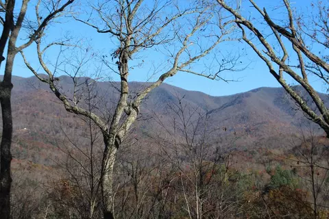 1 Gabriel Rdg, Hayesville, NC 28904
