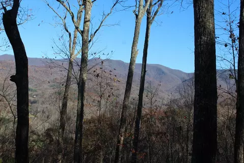2 Gabriel Rdg, Hayesville, NC 28904