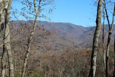 3 Gabriel Rdg, Hayesville, NC 28904