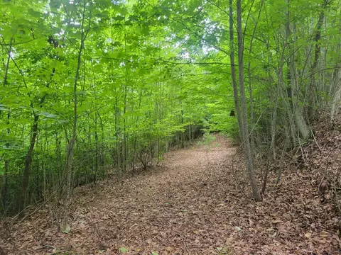 lot25 Double Knob Dr E, Hayesville, NC 28904