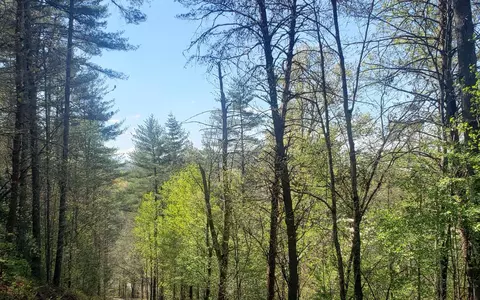 0 Whispering Creek Dr, Mineral Bluff, GA 30559