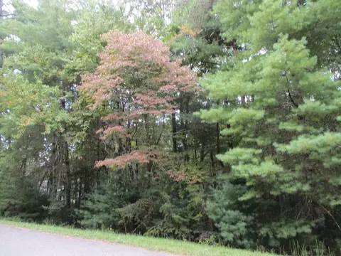lot25 Byers Rd, Blairsville, GA 30512