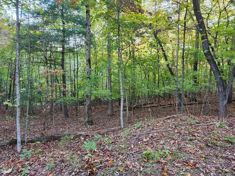 0 N View Trl, Mineral Bluff, GA 30559
