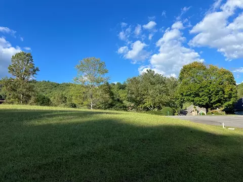 lot1 D Foxfire Dr, Hayesville, NC 28904 photo 10