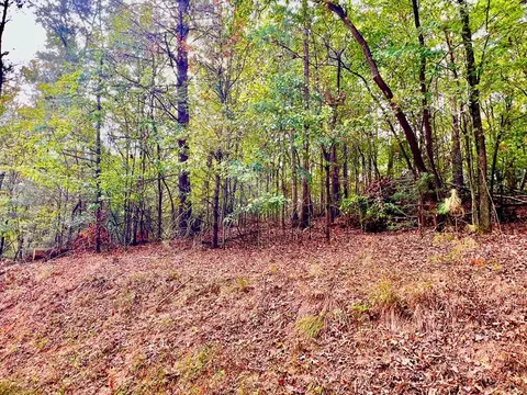 573 Cataula Ct, Ellijay, GA 30540