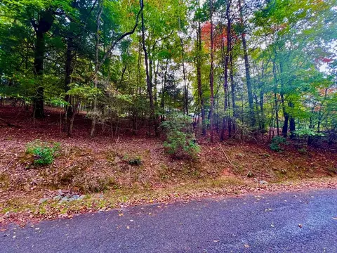 548 N Satsuma Ct, Ellijay, GA 30540