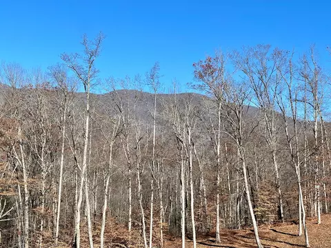 0 E Hwy 64 E, Hayesville, NC 28904 photo 27