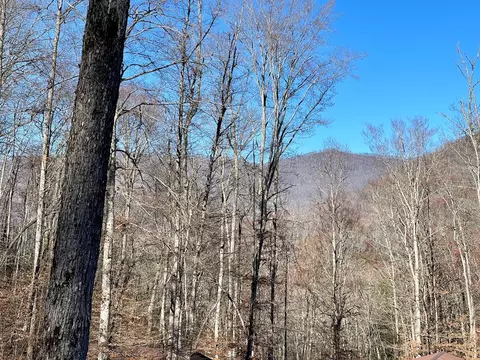 0 E Hwy 64 E, Hayesville, NC 28904 photo 25