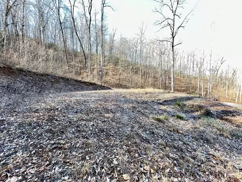0 E Hwy 64 E, Hayesville, NC 28904 photo 23