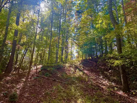 59 High River Lndg, Ellijay, GA 30540