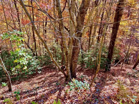13 Up The Ridge Rd, Blairsville, GA 30512