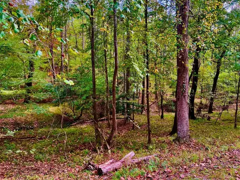 574 Satsuma Ct S, Ellijay, GA 30540