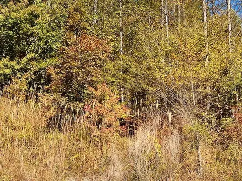 tbd Upper Peachtree Rd, Murphy, NC 28906 photo 9