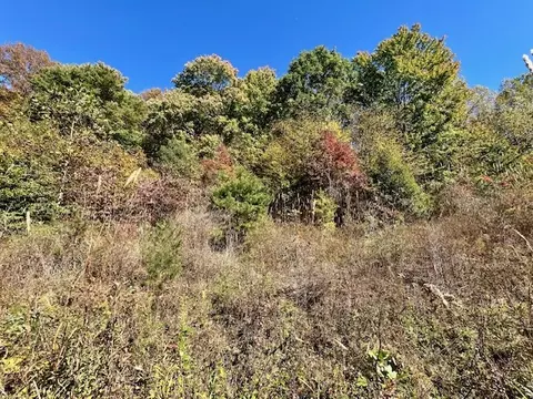 tbd Upper Peachtree Rd, Murphy, NC 28906 photo 8