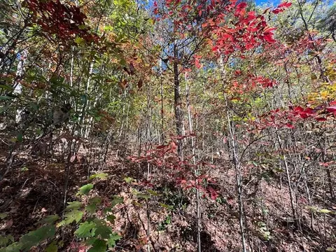 tbd Upper Peachtree Rd, Murphy, NC 28906 photo 11