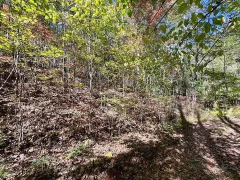 tbd Upper Peachtree Rd, Murphy, NC 28906 photo 14