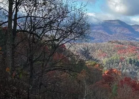 tbd Upper Peachtree Rd, Murphy, NC 28906